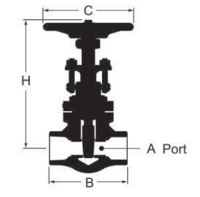 gate valve
