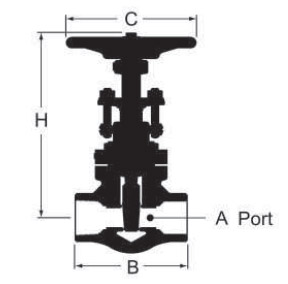gate valve