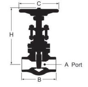 gate valve