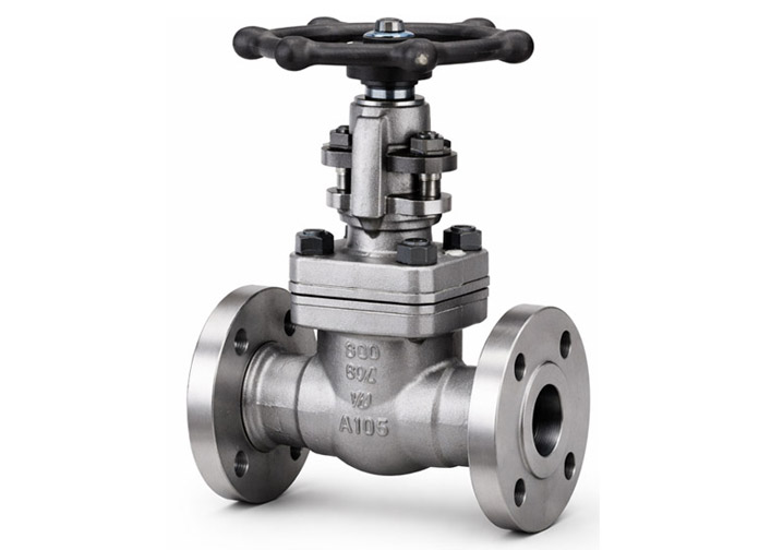 Globe Valves