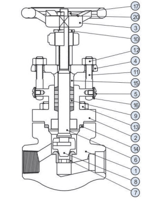 Globe Valves